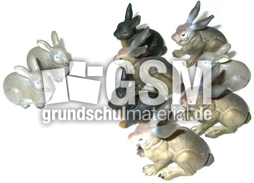 Hasen2+7.jpg
